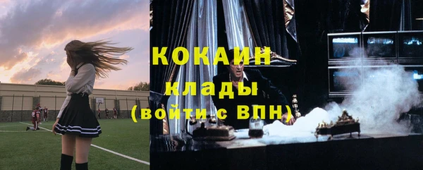 трава Аркадак