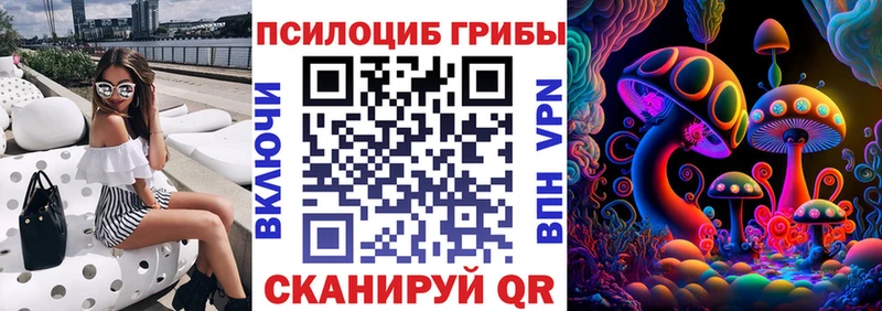 Галлюциногенные грибы Magic Shrooms сколько стоит Суровикино